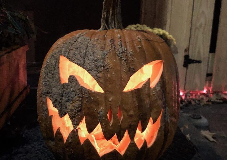 Carved pumpkin for Halloween
