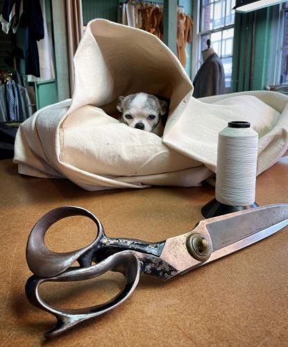 A small dog inside a fold of fabric as well as a roll of white string and fabric scissors